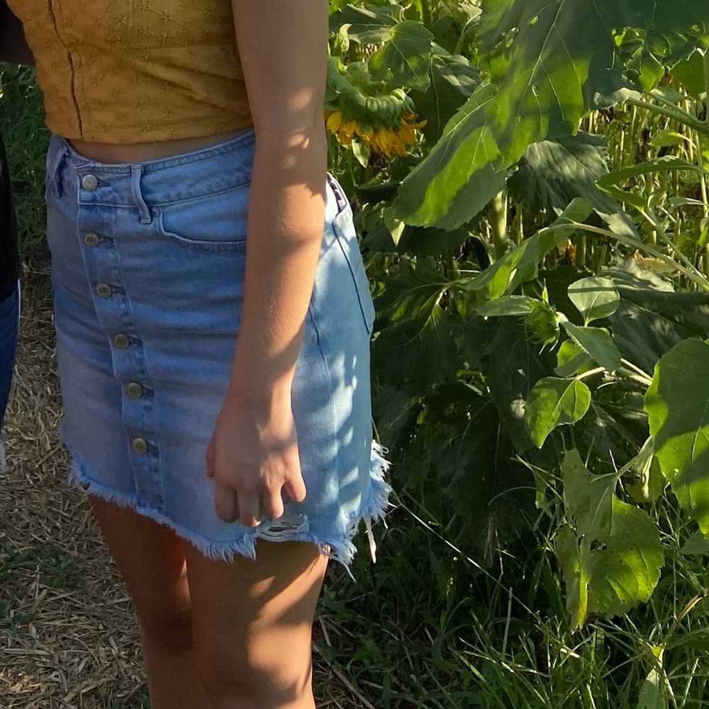 AE Denim Skirt